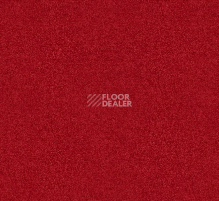 Ковровая плитка Interface Polichrome Solid 4266023 Grenadine фото 1 | FLOORDEALER